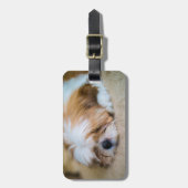 シーズー（犬） Tzu ラゲッジタグ (正面縦)