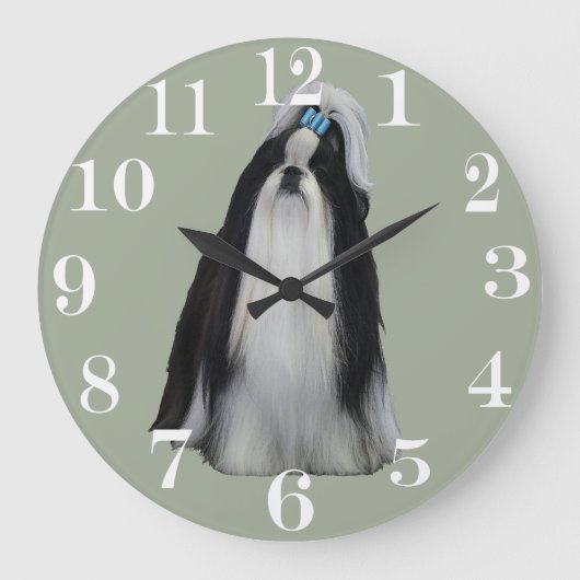 シーズー(犬) TZU ラージ壁時計 (正面)