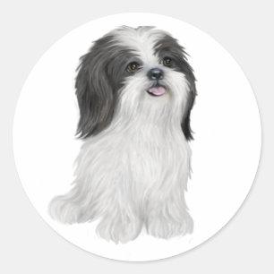 シーズー(犬)Tzu – 白黒(by JF) ラウンドシール