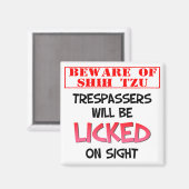 シーズー(犬)Tzu(白) 2インチ角磁石に注意 マグネット (正面/裏面)