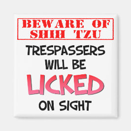 シーズー（犬）Tzu（白） 2インチ角磁石に注意 マグネット