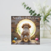 シーズー（犬）Tzu dog – ファミリー名付 シーズンカード (スタンド正面)