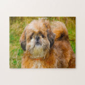 シーズー（犬）Tzu Dog Jigsaws。ジグソーパズル ジグソーパズル (横)