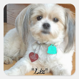シーズー（犬）Tzu Liz Sticker スクエアシール