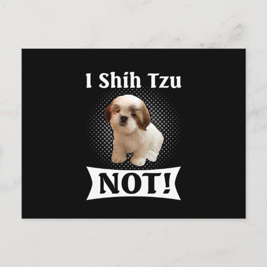シーズー(犬)Tzu Loveカワイトおもしろいシーズー(犬)Tzu 案内ポストカード (正面)