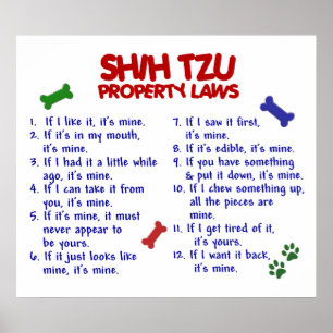 シーズー(犬) TZU PL2 ポスター