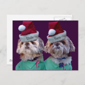 シーズー(犬)Tzuesシーズー(犬)2クリスマスグリーティングカード シーズンポストカード (正面/裏面)