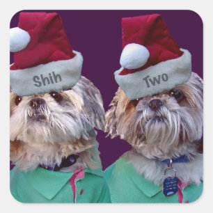 シーズー(犬)Tzuesシーズー(犬)2クリスマスシール スクエアシール
