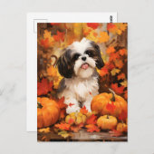 シーズー 秋の感謝祭 ポストカード (正面/裏面)