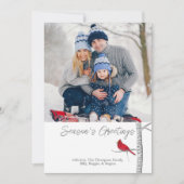 シーズ伝統的ンの挨拶の（鳥）ショウジョウコウカンチョウ シーズンカード (正面)