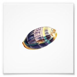 シーセカラフルルシービーチ航海の フォトプリント           