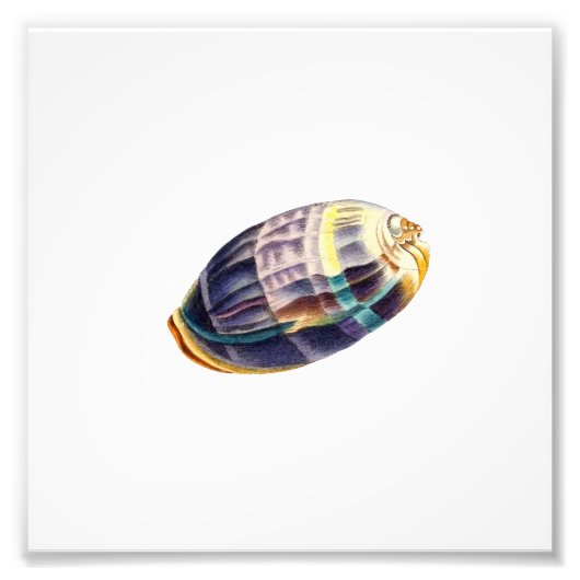 シーセカラフルルシービーチ航海の フォトプリント            (正面)