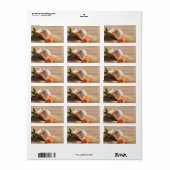 シーセルバラ結婚サンドラベル ラベル (フルシート)