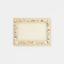 シーセルビーチサ縁どンド