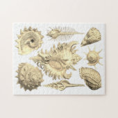 シーセルビーチ海ショアシーサイドエレガント ジグソーパズル (横)