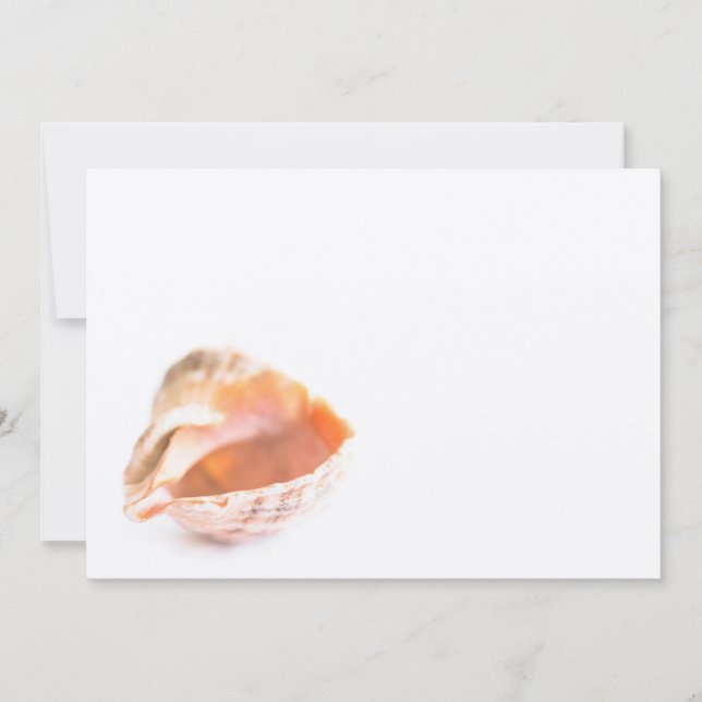 シーセル (正面)