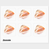 シーセル スクエアシール (シート)