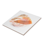 シーセル タイル (側面)