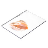 シーセル ノートブック (左側)