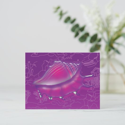 シーセル ポストカード (スタンド正面)