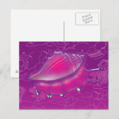 シーセル ポストカード (正面/裏面)