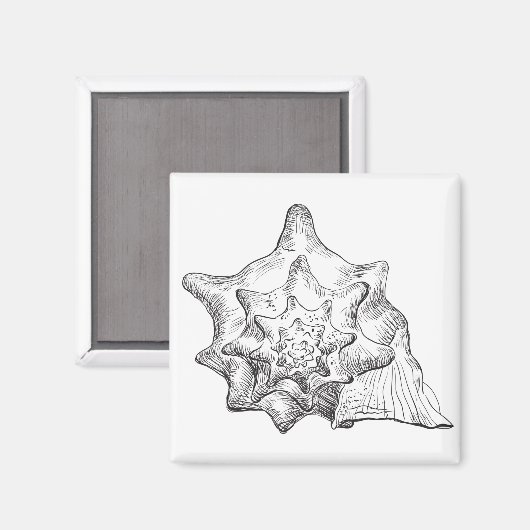 シーセル マグネット (正面/裏面)