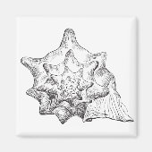 シーセル マグネット (正面)