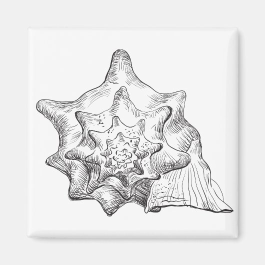 シーセル マグネット (正面)