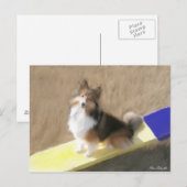 シーソに坐っているCuteShetlandの牧羊犬 ポストカード (正面/裏面)