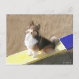 シーソに坐っているCuteShetlandの牧羊犬 ポストカード