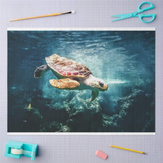 シータートルアグアーヘッドデクページティッシュペーパー 薄葉紙 (クラフト)