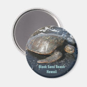 シータートルオンブラックサンドビーチハワイ マグネット (正面/裏面)
