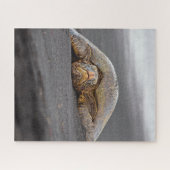 シータートルブラックサンドビーチハワイ – 16x20 - 520 pc ジグソーパズル (横)