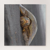 シータートルブラックサンドビーチハワイ – 20x20 - 676 pc ジグソーパズル (横)