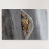 シータートルブラックサンドビーチハワイ–20x30- 1014 pc ジグソーパズル (横)