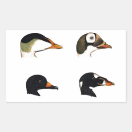 シーダックスのロゴ 長方形シール