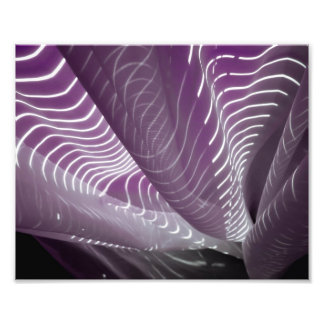 [シートに太陽光] フォトプリント           