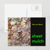 シートマルチについて聞いて ポストカード (正面/裏面)