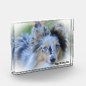 シートランドシープドッグ フォトブロック (左)