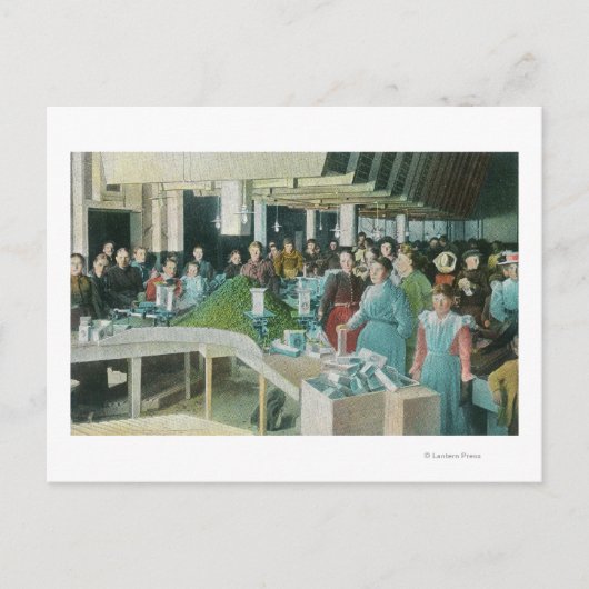 シードされたレーズンを工場で梱包する労働者 ポストカード (正面)