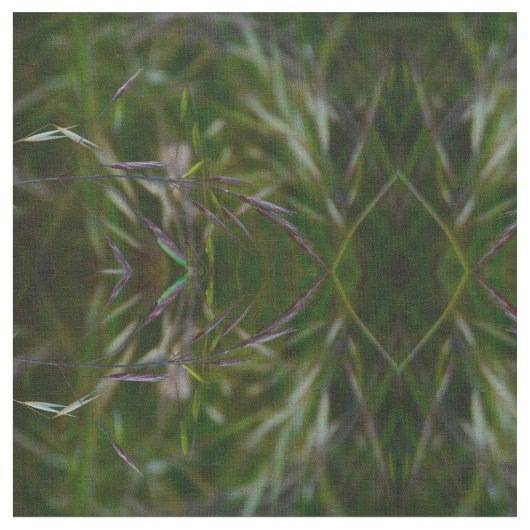 シードに移行 ファブリック (クローズアップ)