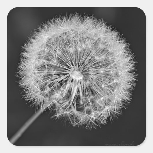 シードへ移動 スクエアシール (正面)