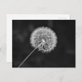 シードへ移動 ポストカード (正面/裏面)