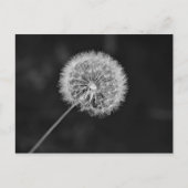 シードへ移動 ポストカード (正面)