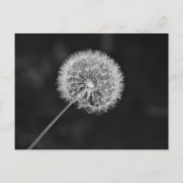 シードへ移動 ポストカード