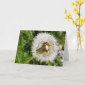 シードへ カード (黄色い花)