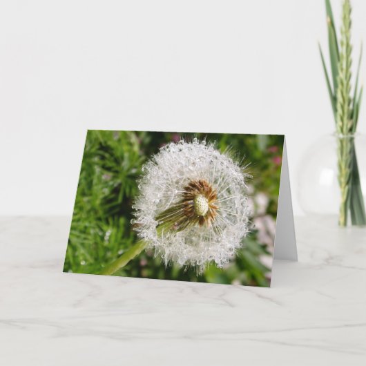 シードへ カード (正面)