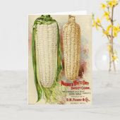 シードカタログカバー – トウモロコシ カード (黄色い花)