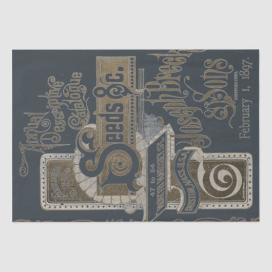 シードカタログタイポグラフィデカップネイビーブルー金ゴールド 薄葉紙 (正面)