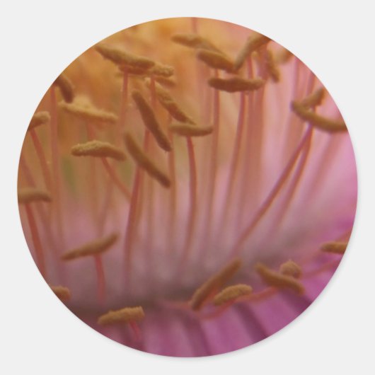 シードシール ラウンドシール (正面)